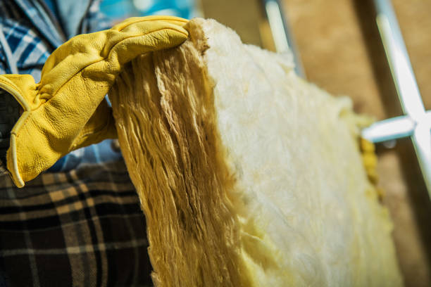 Best Crawl Space Insulation  in Hiram, GA