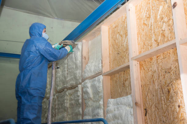 Best Insulation Inspection Services  in Hiram, GA